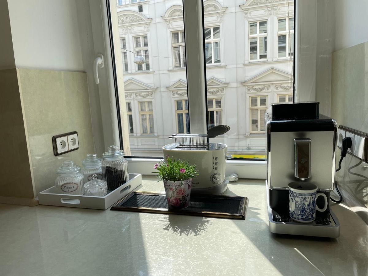 Apartment Luxury Nostalgia Karlovy Vary Eksteriør bilde